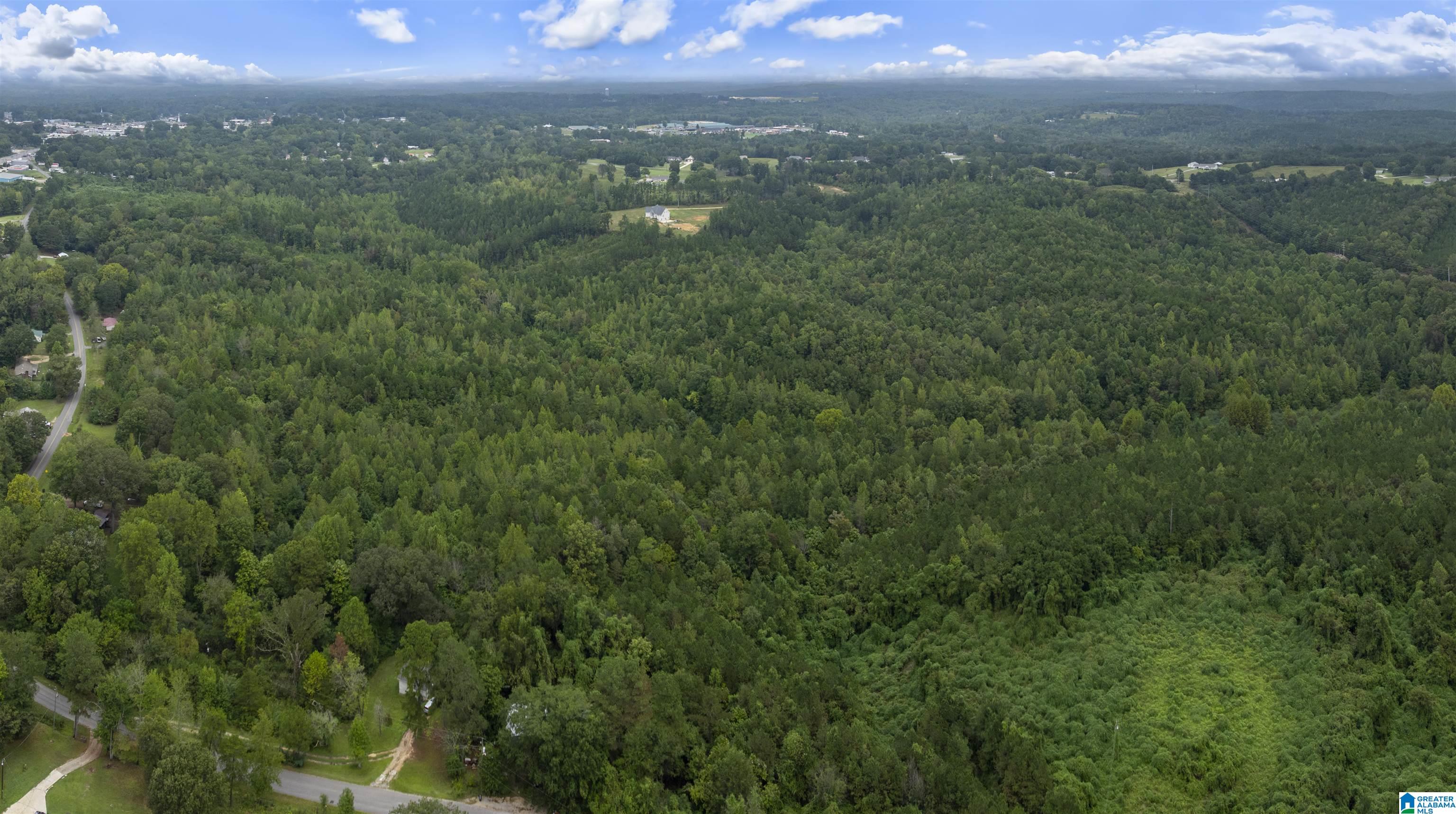 Homes for sale in Haleyville, AL | 0 Beech Grove Road, Haleyville, AL 35565 | MLS# 21433783