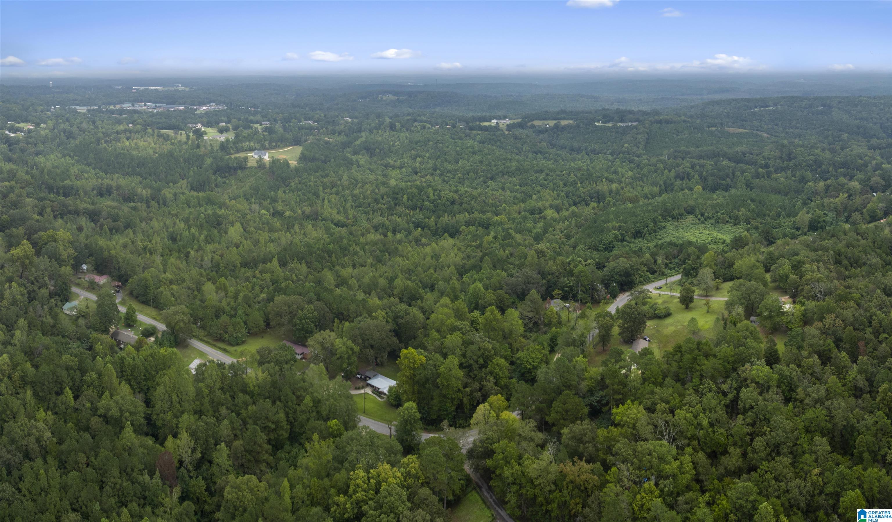 Homes for sale in Haleyville, AL | 0 Beech Grove Road, Haleyville, AL 35565 | MLS# 21433783