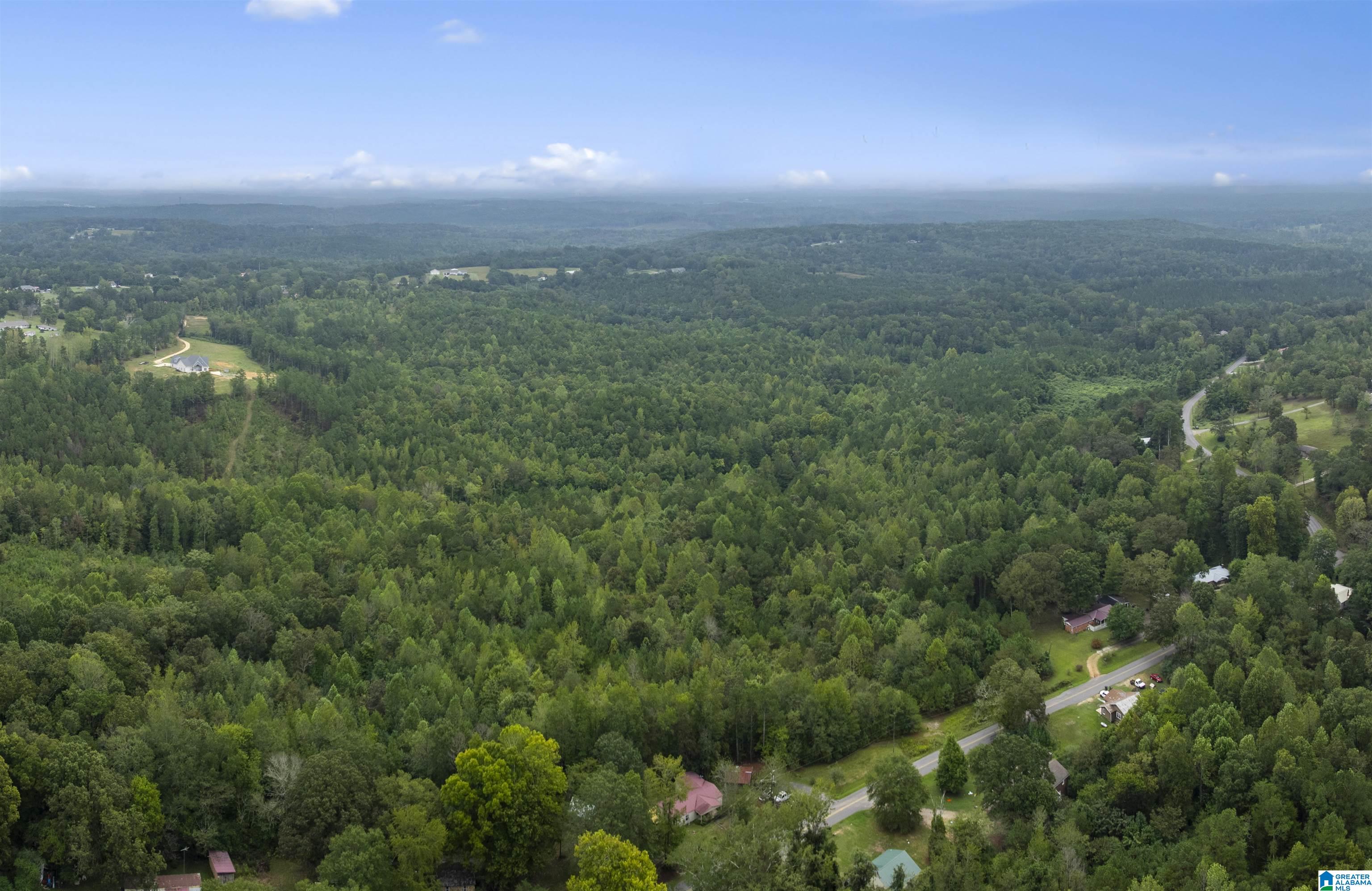 Homes for sale in Haleyville, AL | 0 Beech Grove Road, Haleyville, AL 35565 | MLS# 21433783