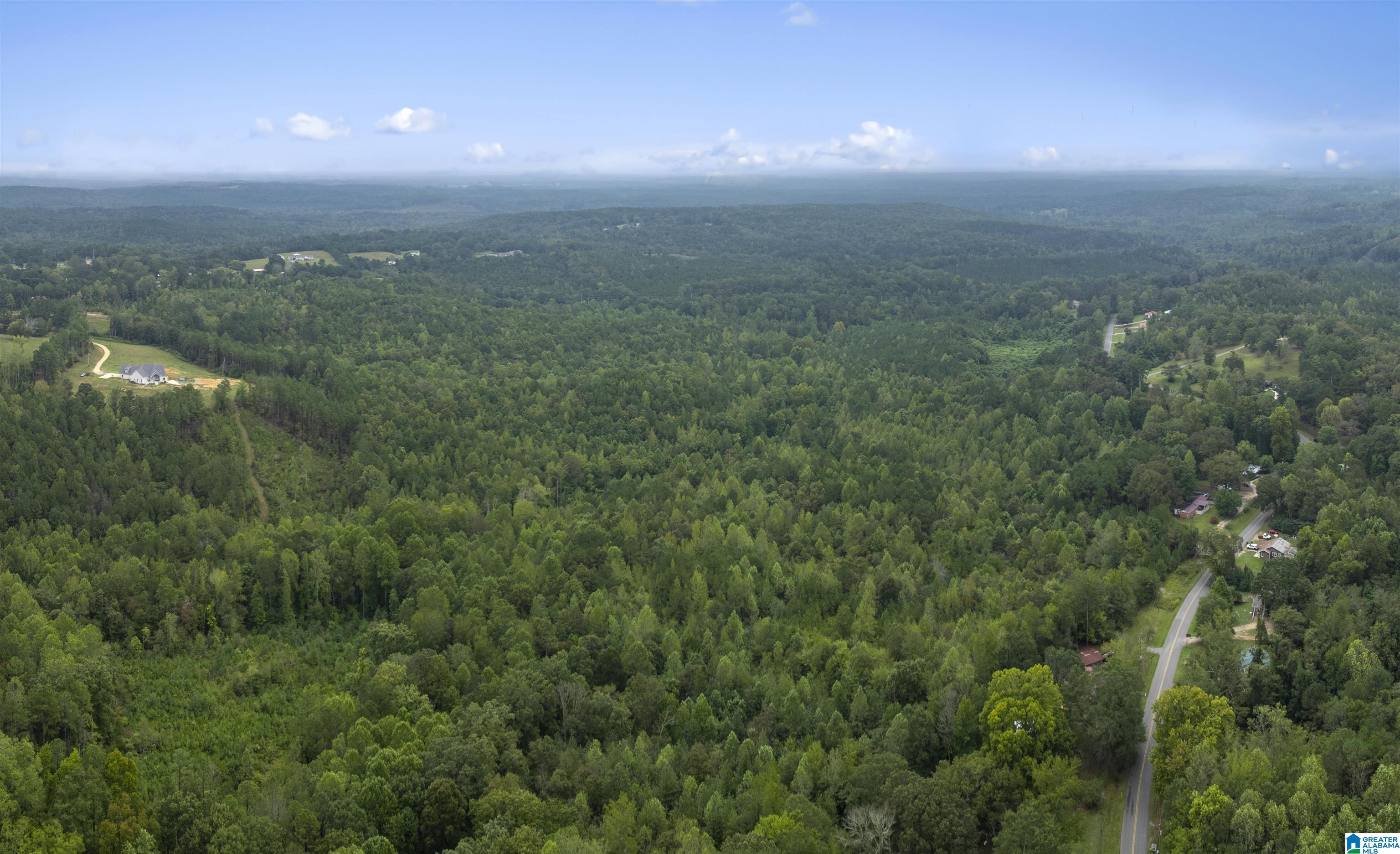 Homes for sale in Haleyville, AL | 0 Beech Grove Road, Haleyville, AL 35565 | MLS# 21433783