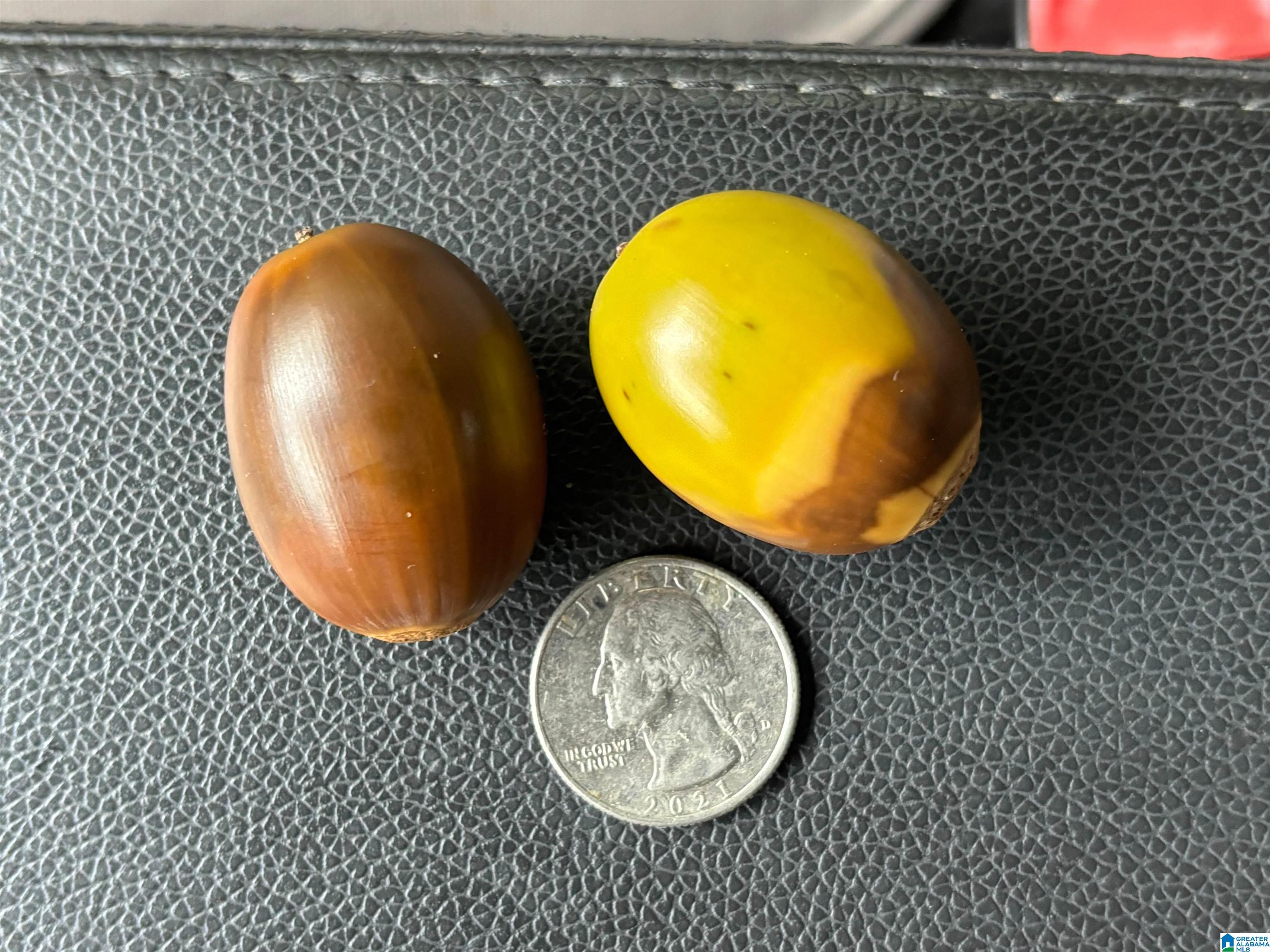 Homes for sale in Gallant, AL | Gallant Road, Gallant, AL 35972 | MLS# 21433814