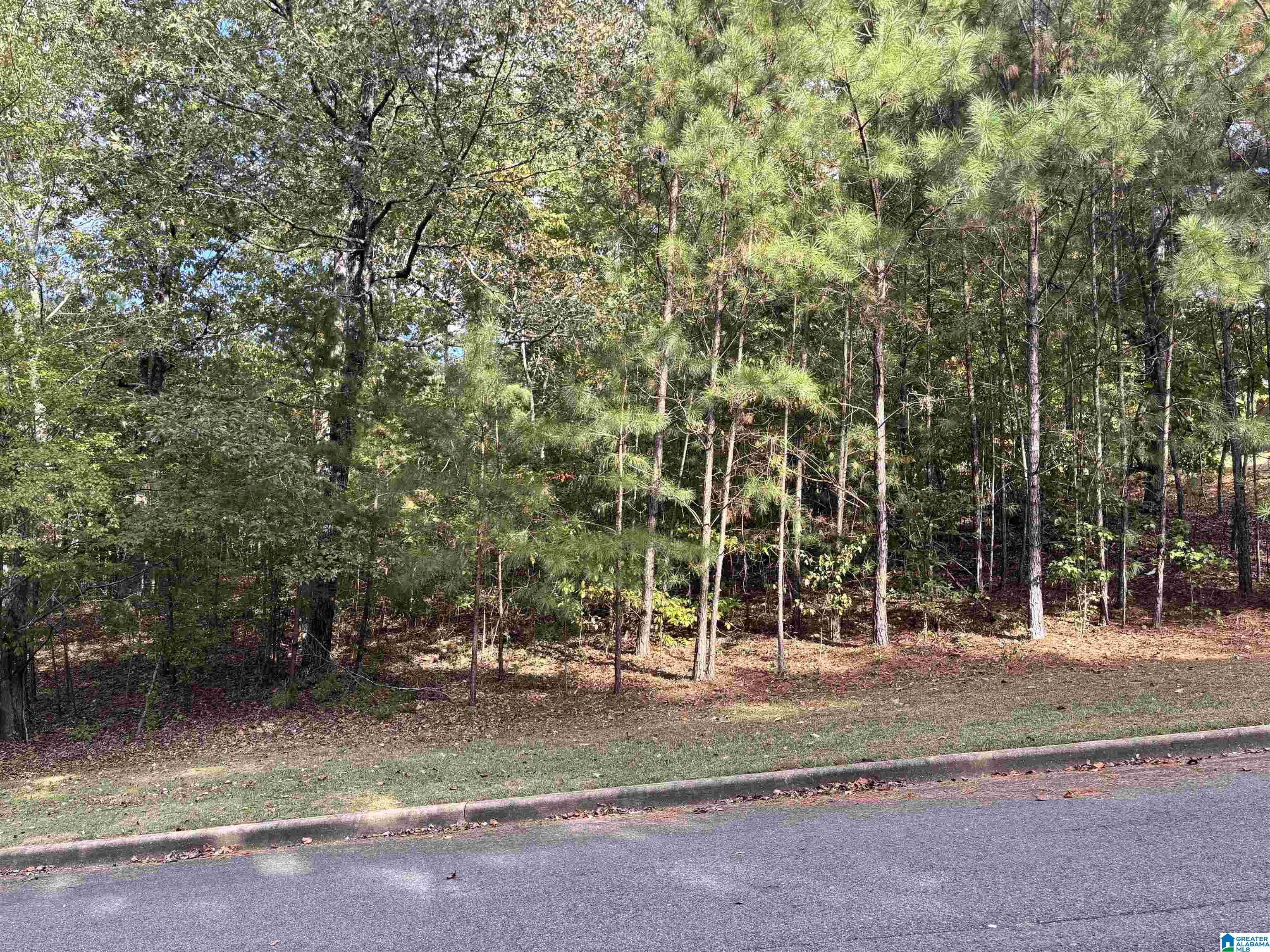 Homes for sale in Dora, AL | Lot 9 White Oak Circle, Dora, AL 35062 | MLS# 21433827