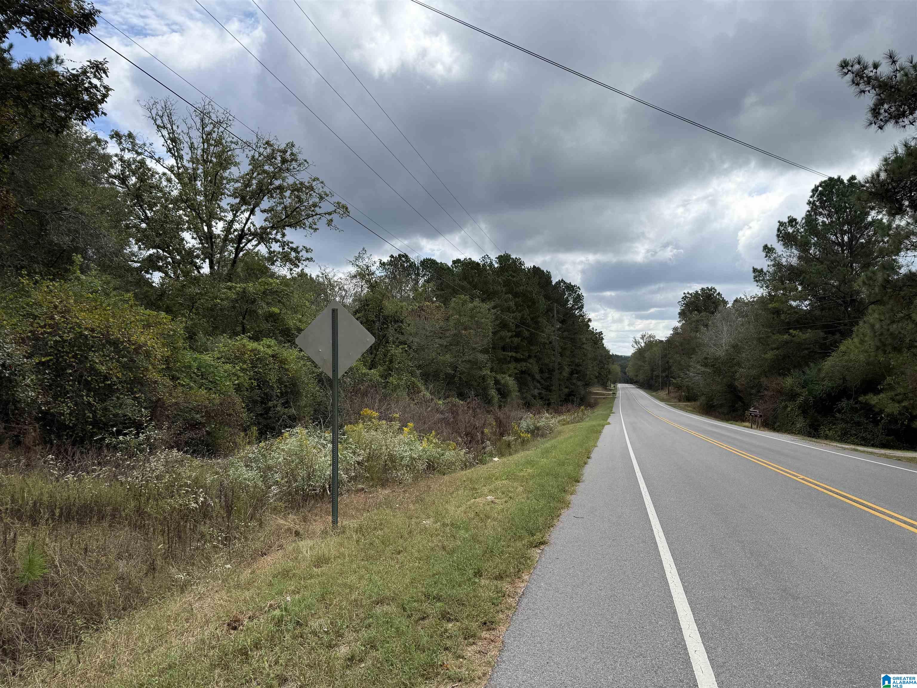 Homes for sale in Lincoln, AL | 0 Mudd Street, Lincoln, AL 35096 | MLS# 21433956