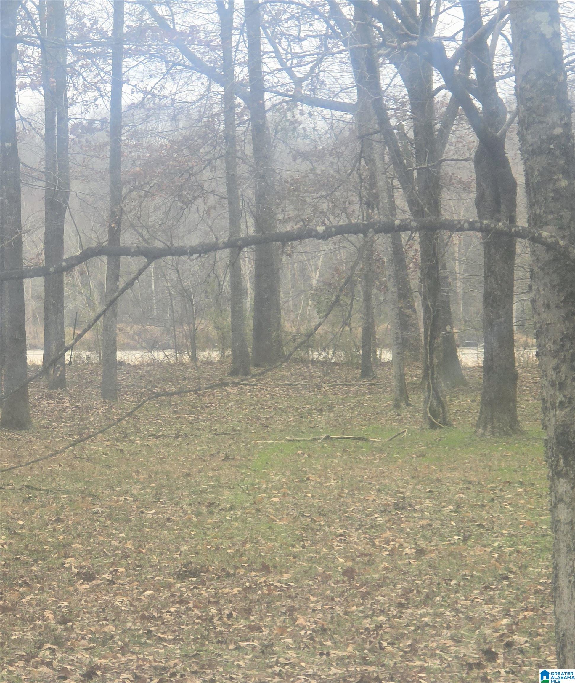 Homes for sale in Akron, AL | Cypress Point Dr, Akron, AL 36776 | MLS# 21433959