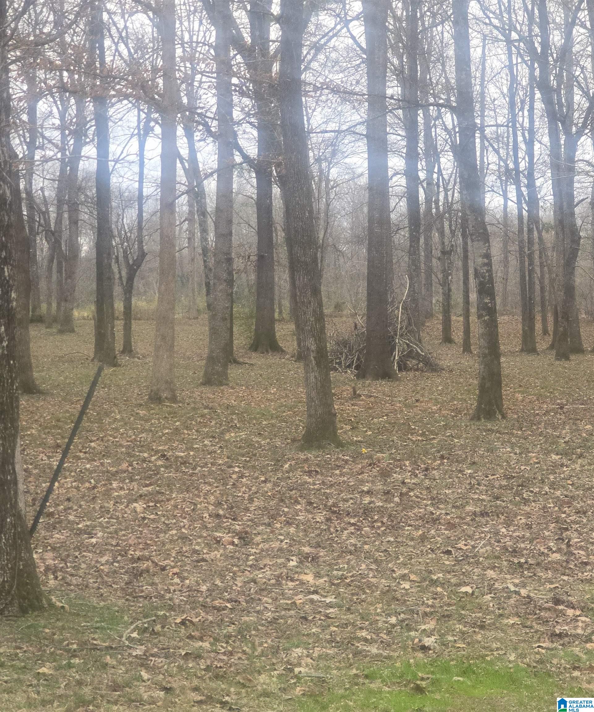 Homes for sale in Akron, AL | Cypress Point Dr, Akron, AL 36776 | MLS# 21433959