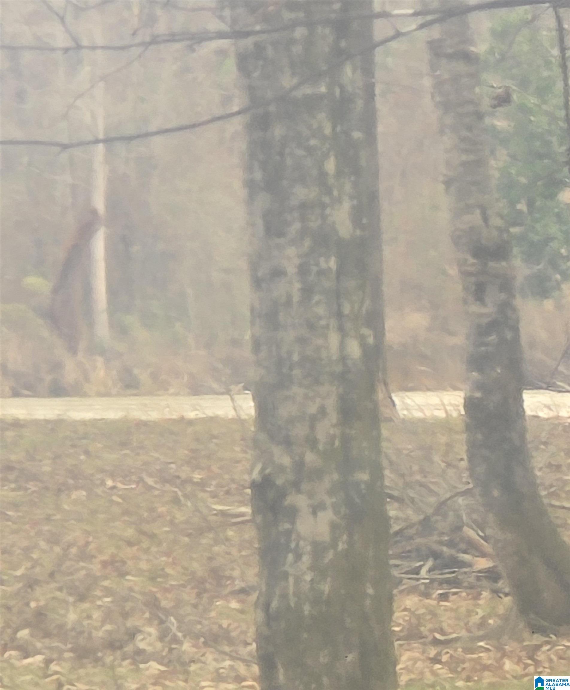 Homes for sale in Akron, AL | Cypress Point Dr, Akron, AL 36776 | MLS# 21433959