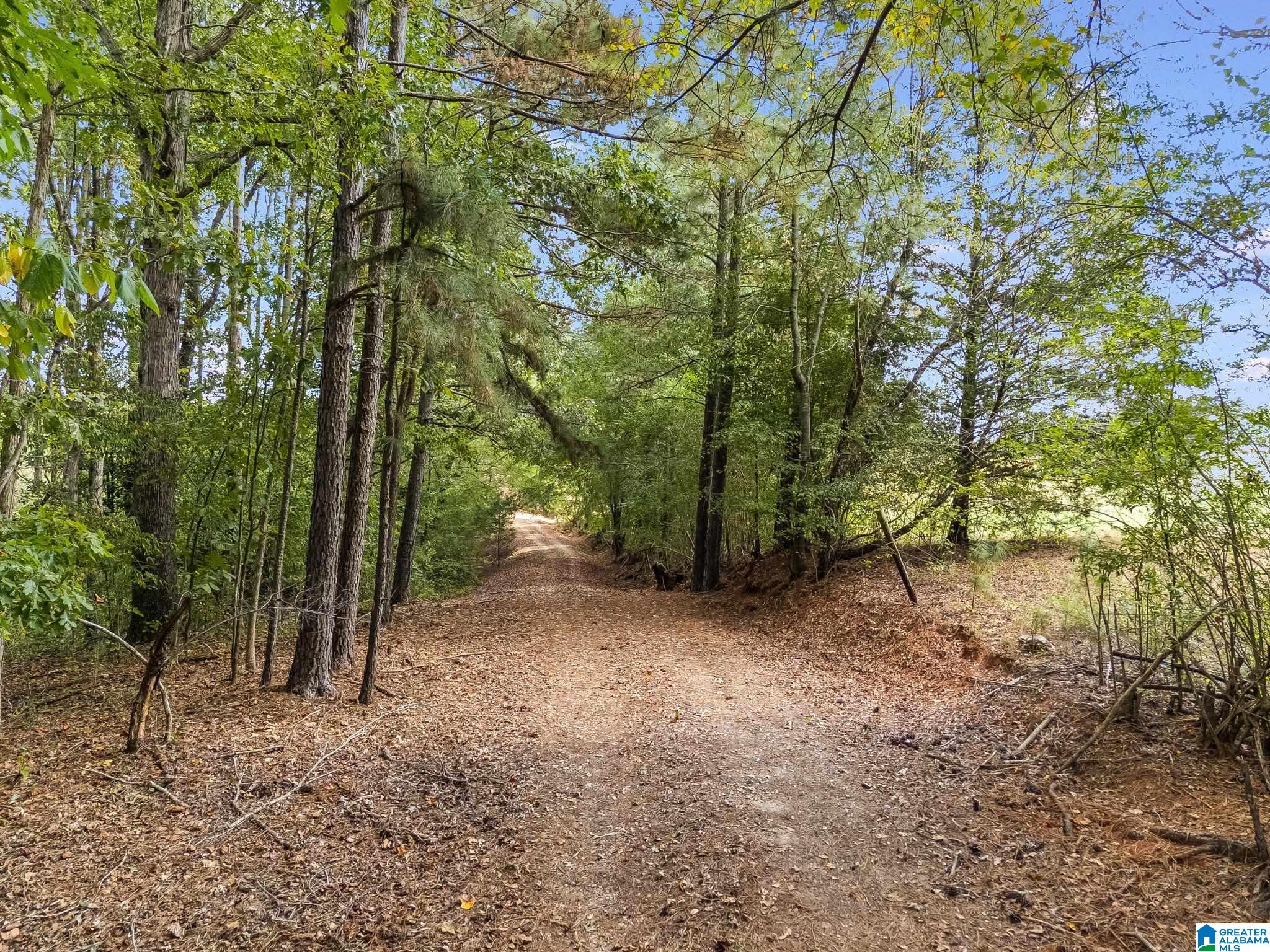 Homes for sale in Woodland, AL | 491 County Road 511, Woodland, AL 36280 | MLS# 21433994