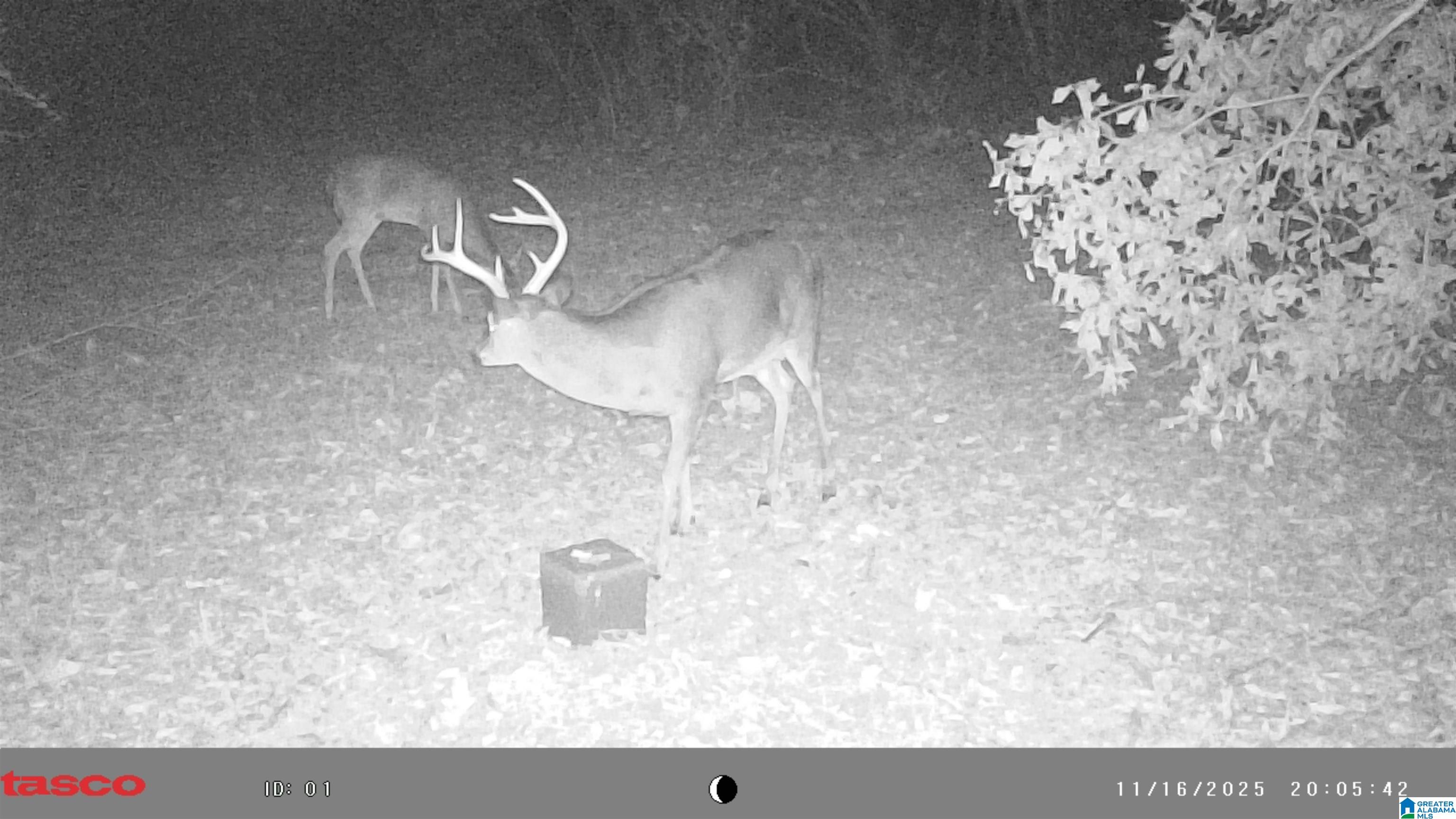 Homes for sale in Woodland, AL | 491 County Road 511, Woodland, AL 36280 | MLS# 21433994