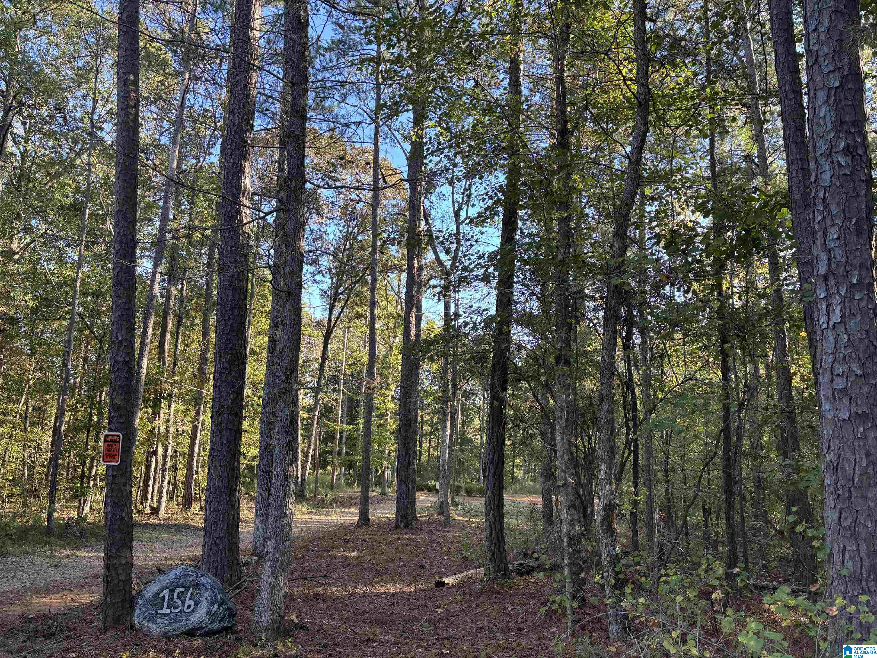 156 COUNTY ROAD 606