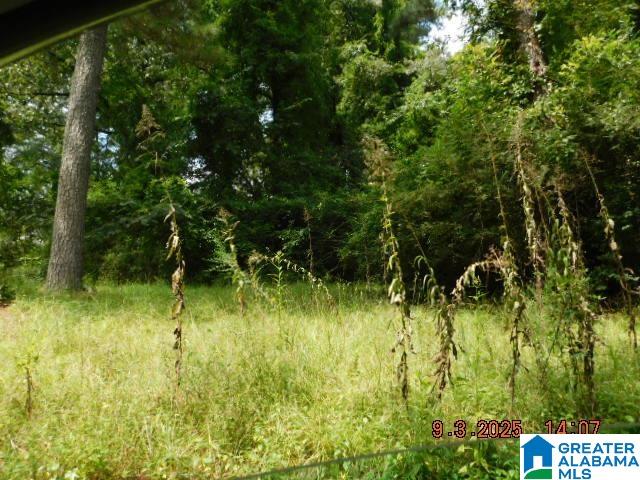 Homes for sale in Trussville, AL | 4908 Branchville Road, Trussville, AL 35173 | MLS# 21434277