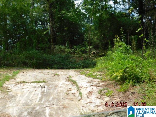 Homes for sale in Trussville, AL | 4908 Branchville Road, Trussville, AL 35173 | MLS# 21434277