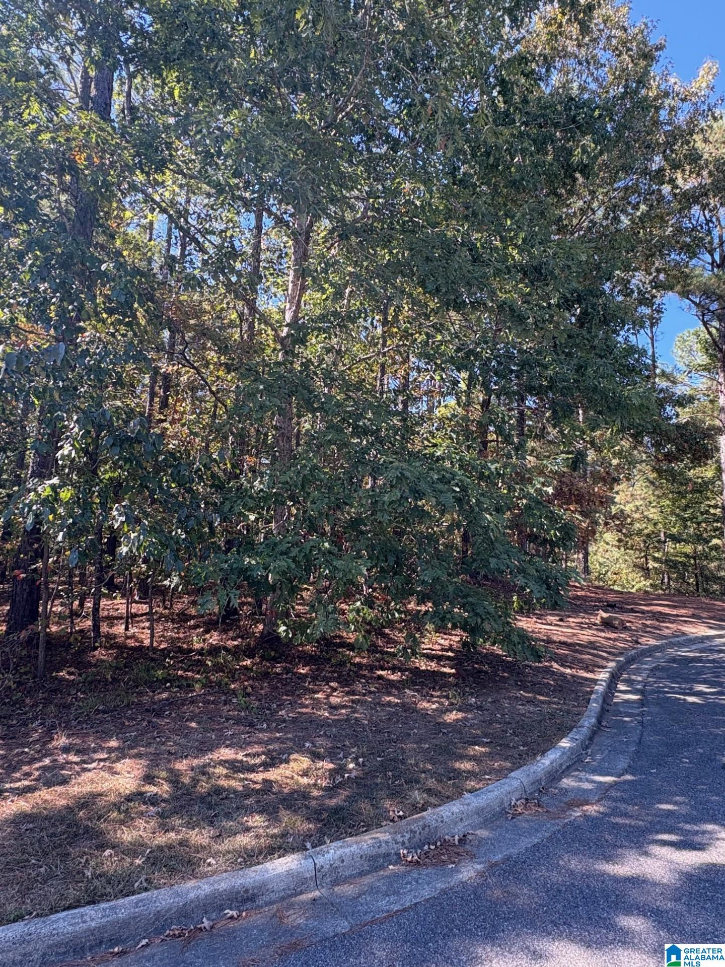 Homes for sale in Chelsea, AL | 339 Alta Vista Dr, Chelsea, AL 35043 | MLS# 21434353