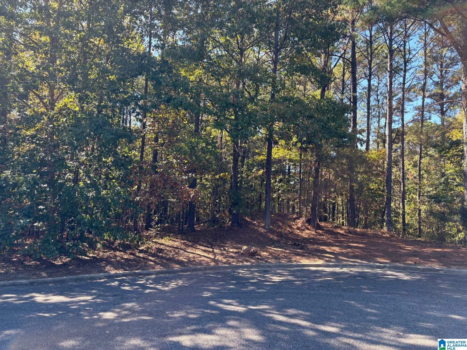 Homes for sale in Chelsea, AL | 339 Alta Vista Dr, Chelsea, AL 35043 | MLS# 21434353