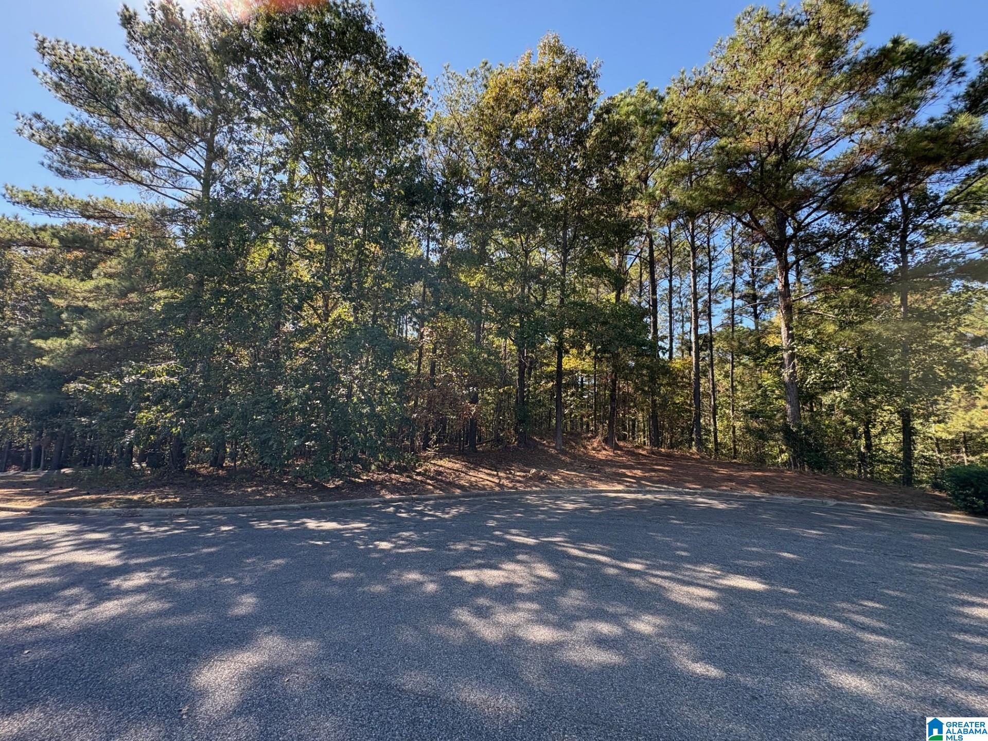 Homes for sale in Chelsea, AL | 339 Alta Vista Dr, Chelsea, AL 35043 | MLS# 21434353