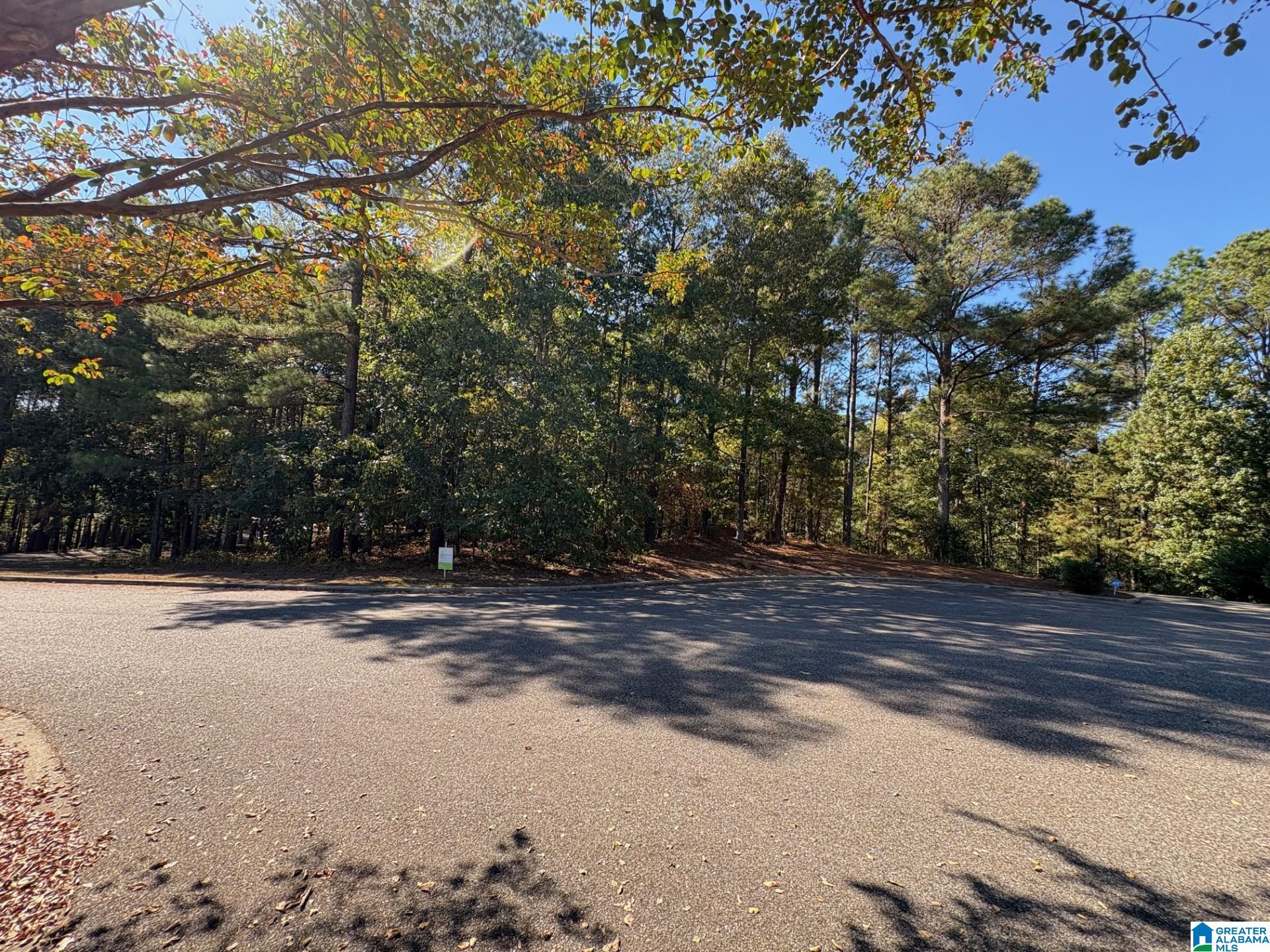 Homes for sale in Chelsea, AL | 339 Alta Vista Dr, Chelsea, AL 35043 | MLS# 21434353