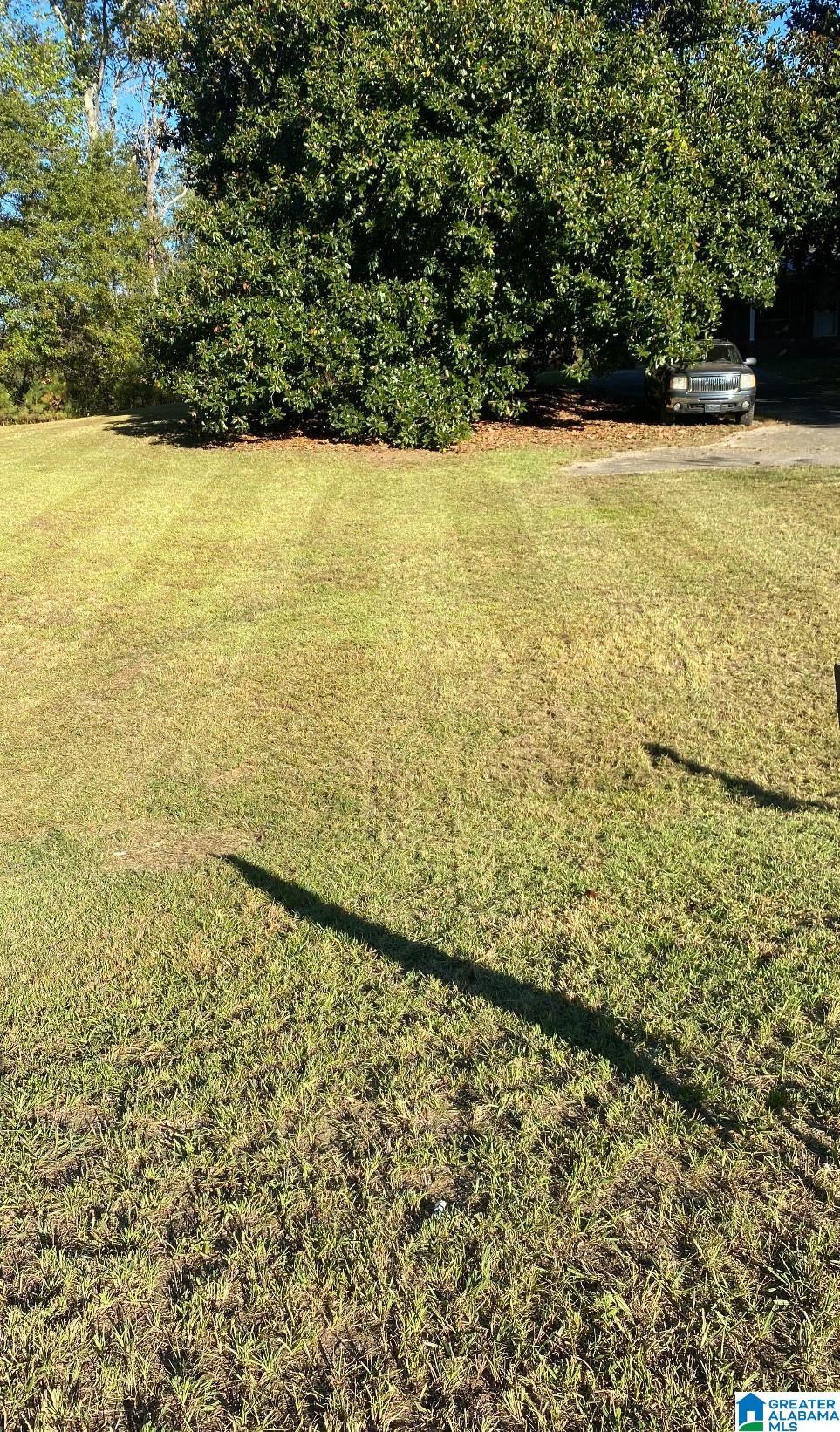 Homes for sale in Roanoke, AL | 9350 Hwy 431, Roanoke, AL 36274 | MLS# 21434433