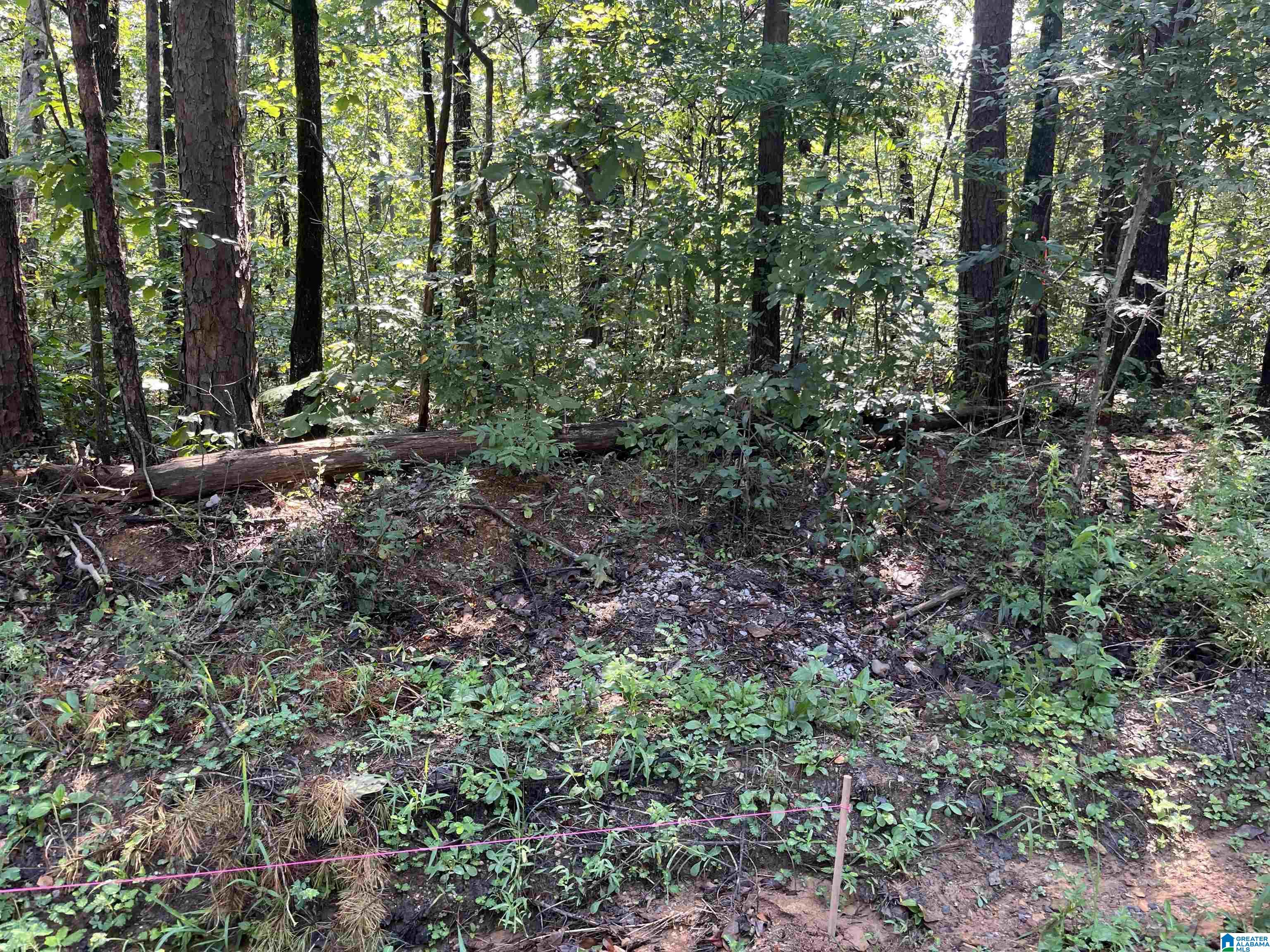 Homes for sale in Mccalla, AL | 12444 Jerry Dr, Mccalla, AL 35111 | MLS# 21434506