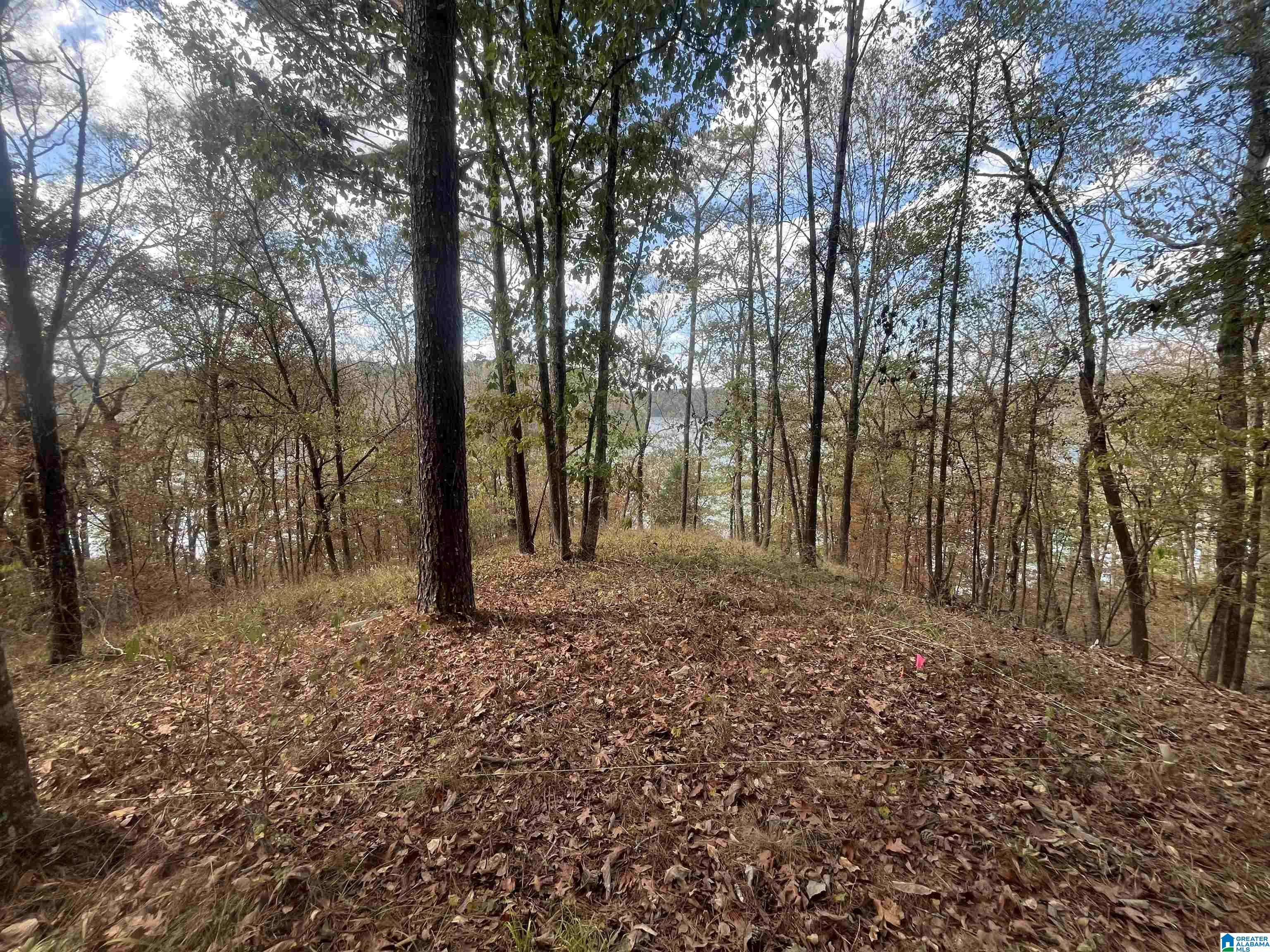 Homes for sale in Quinton, AL | Eagle Port Road, Quinton, AL 35130 | MLS# 21434570