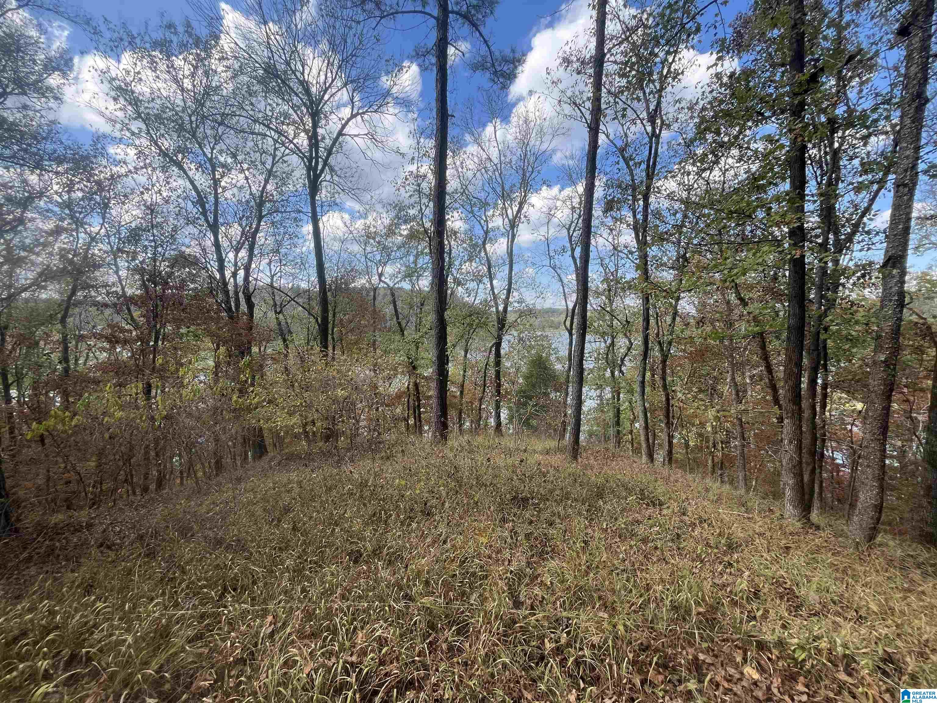 Homes for sale in Quinton, AL | Eagle Port Road, Quinton, AL 35130 | MLS# 21434570