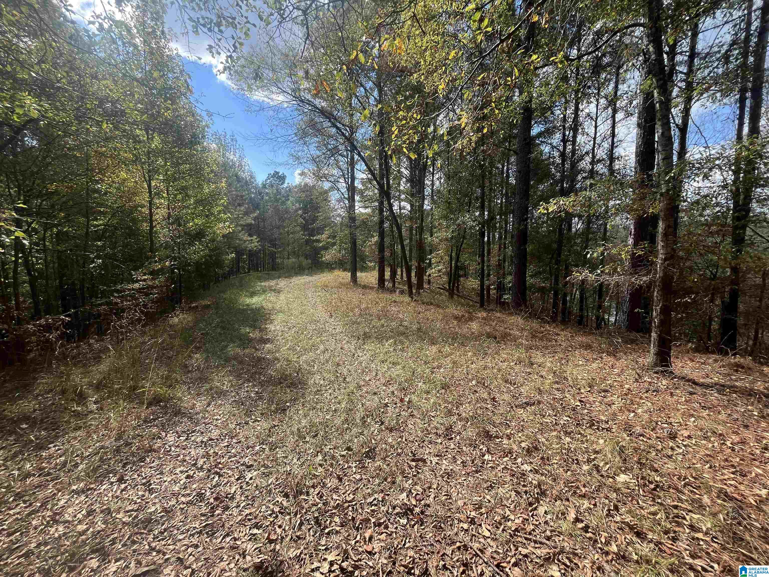 Homes for sale in Quinton, AL | Eagle Port Road, Quinton, AL 35130 | MLS# 21434570