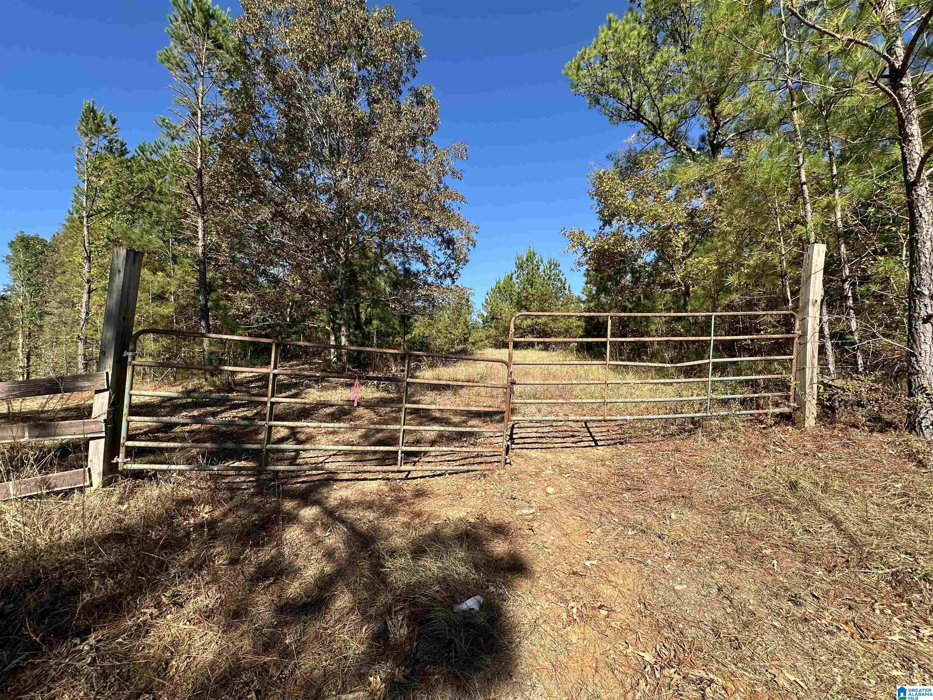 Homes for sale in Vincent, AL | 0 County Road 483, Vincent, AL 35178 | MLS# 21434622