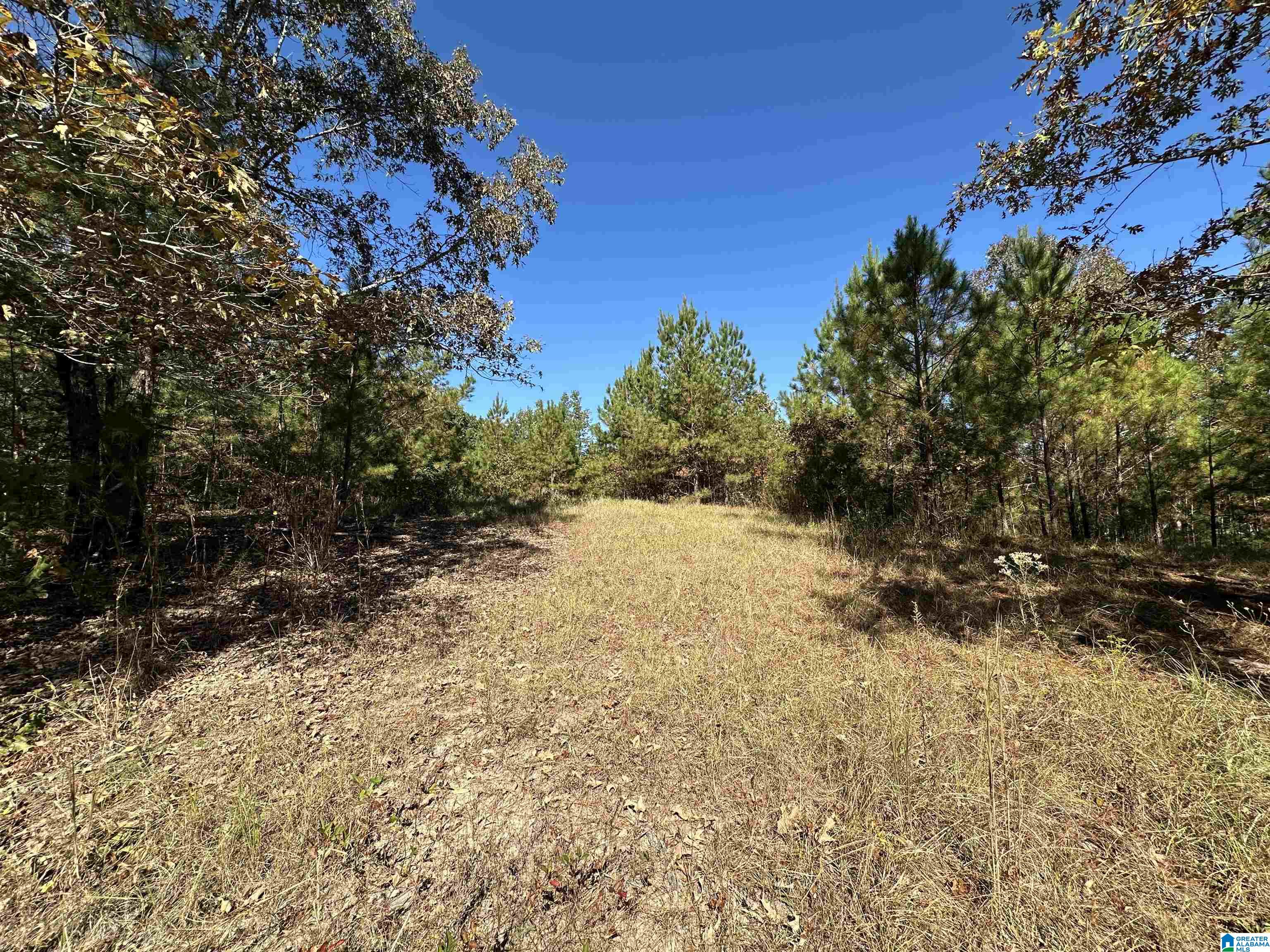 Homes for sale in Vincent, AL | 0 County Road 483, Vincent, AL 35178 | MLS# 21434622