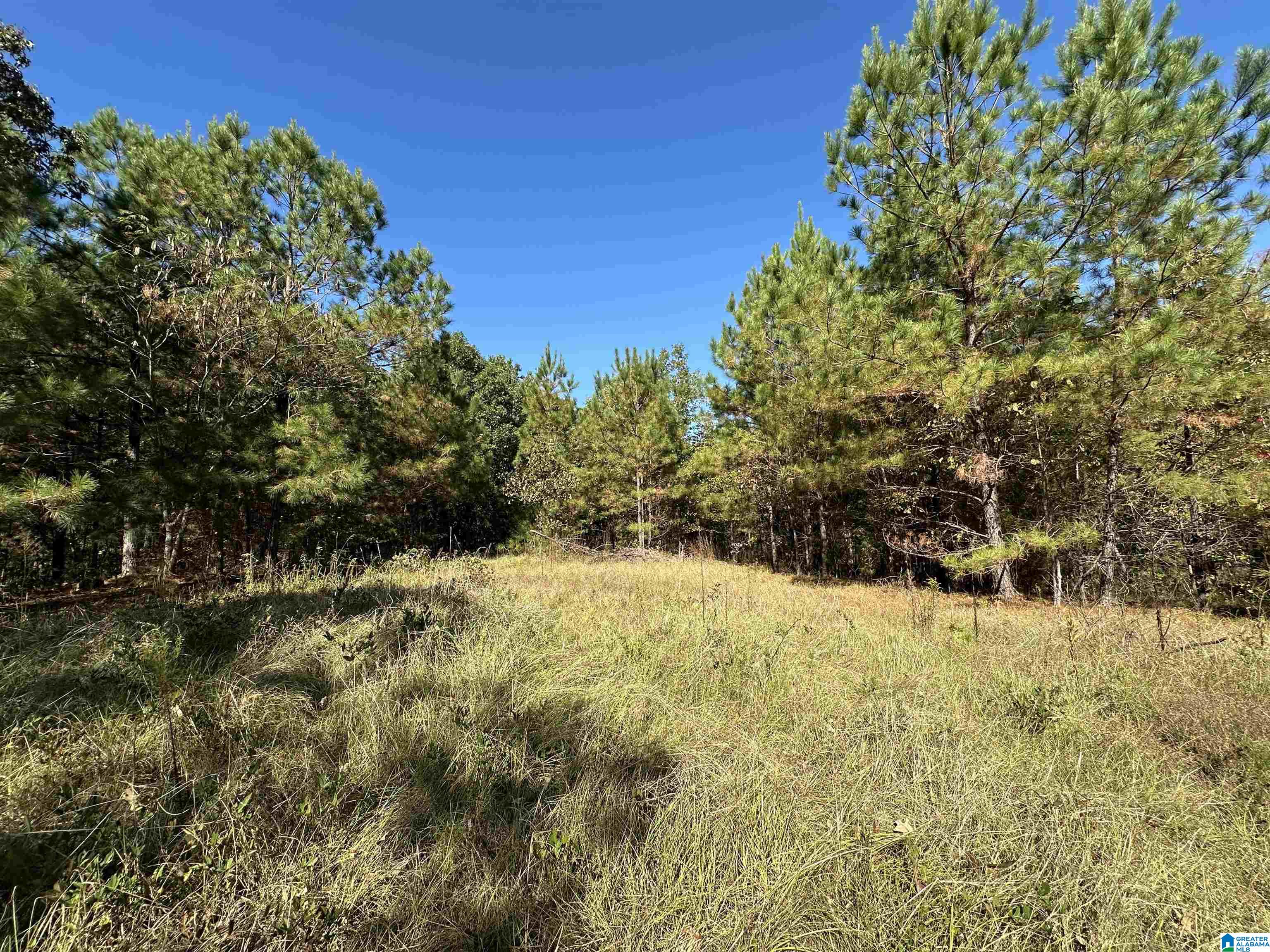 Homes for sale in Vincent, AL | 0 County Road 483, Vincent, AL 35178 | MLS# 21434622