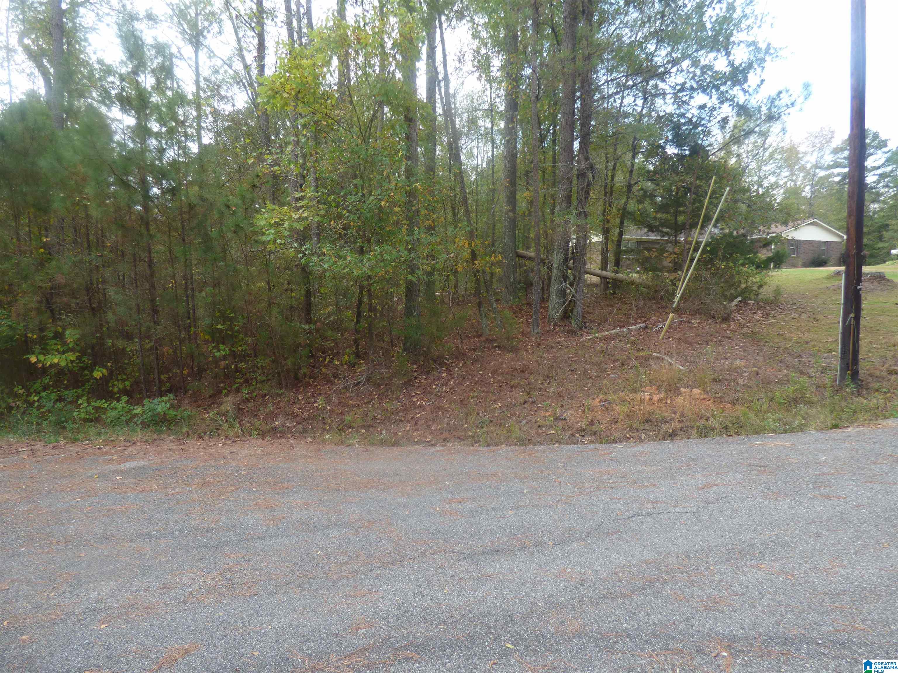 Homes for sale in Jacksonville, AL | 154 Sunrise Ridge, Jacksonville, AL 36265 | MLS# 21434629