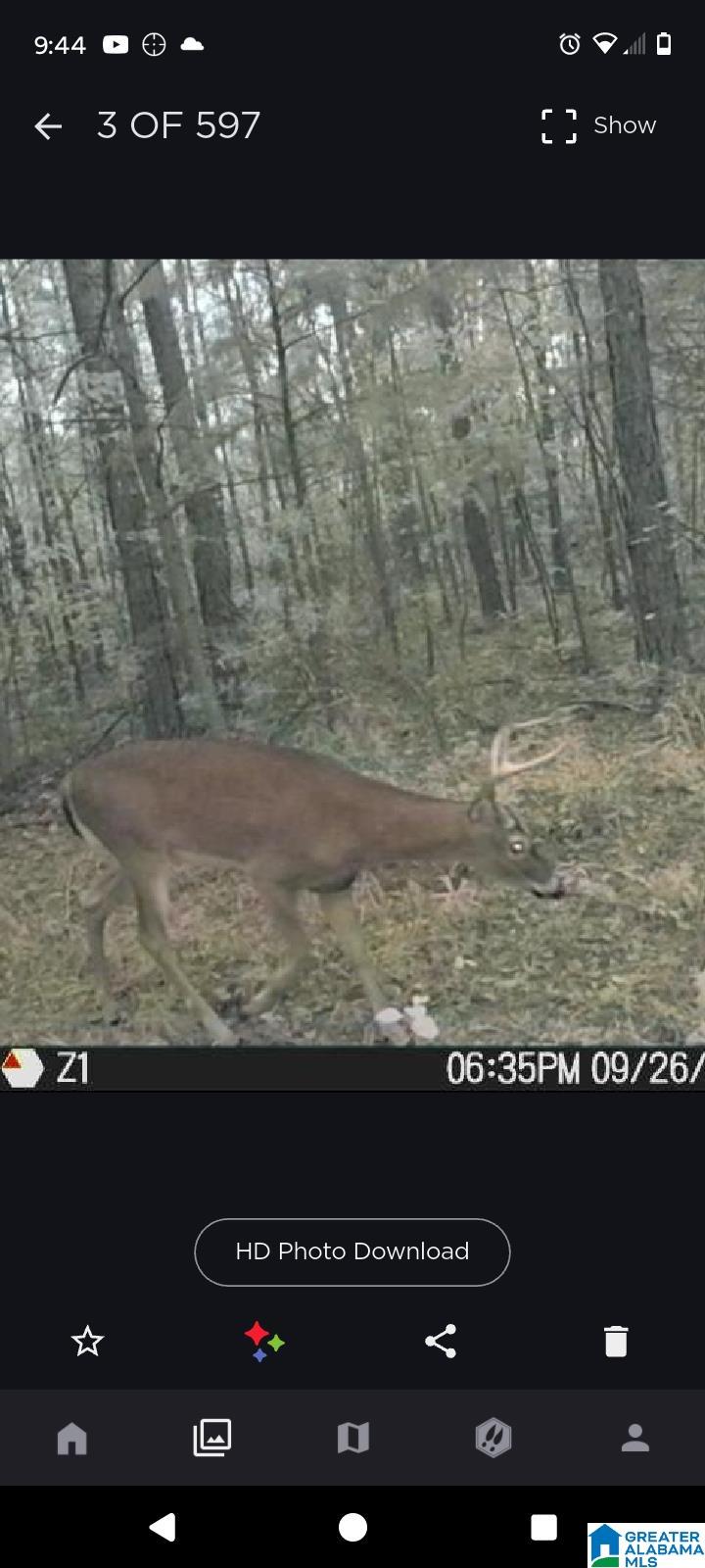 Homes for sale in Munford, AL | 0 Rolling Hills Lane, Munford, AL 36268 | MLS# 21434698