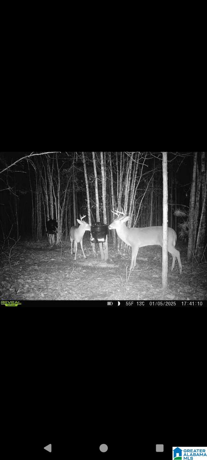 Homes for sale in Munford, AL | 0 Rolling Hills Lane, Munford, AL 36268 | MLS# 21434698