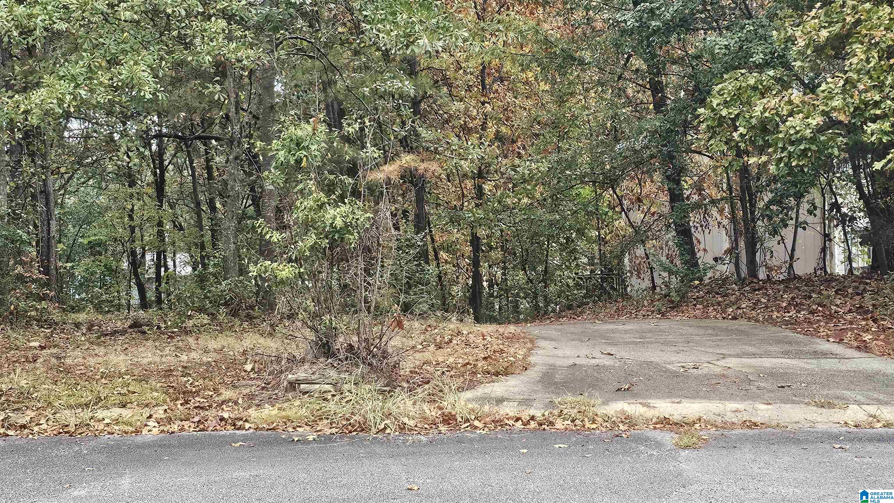 Homes for sale in Alabaster, AL | 1208 Siskin Dr, Alabaster, AL 35007 | MLS# 21434775