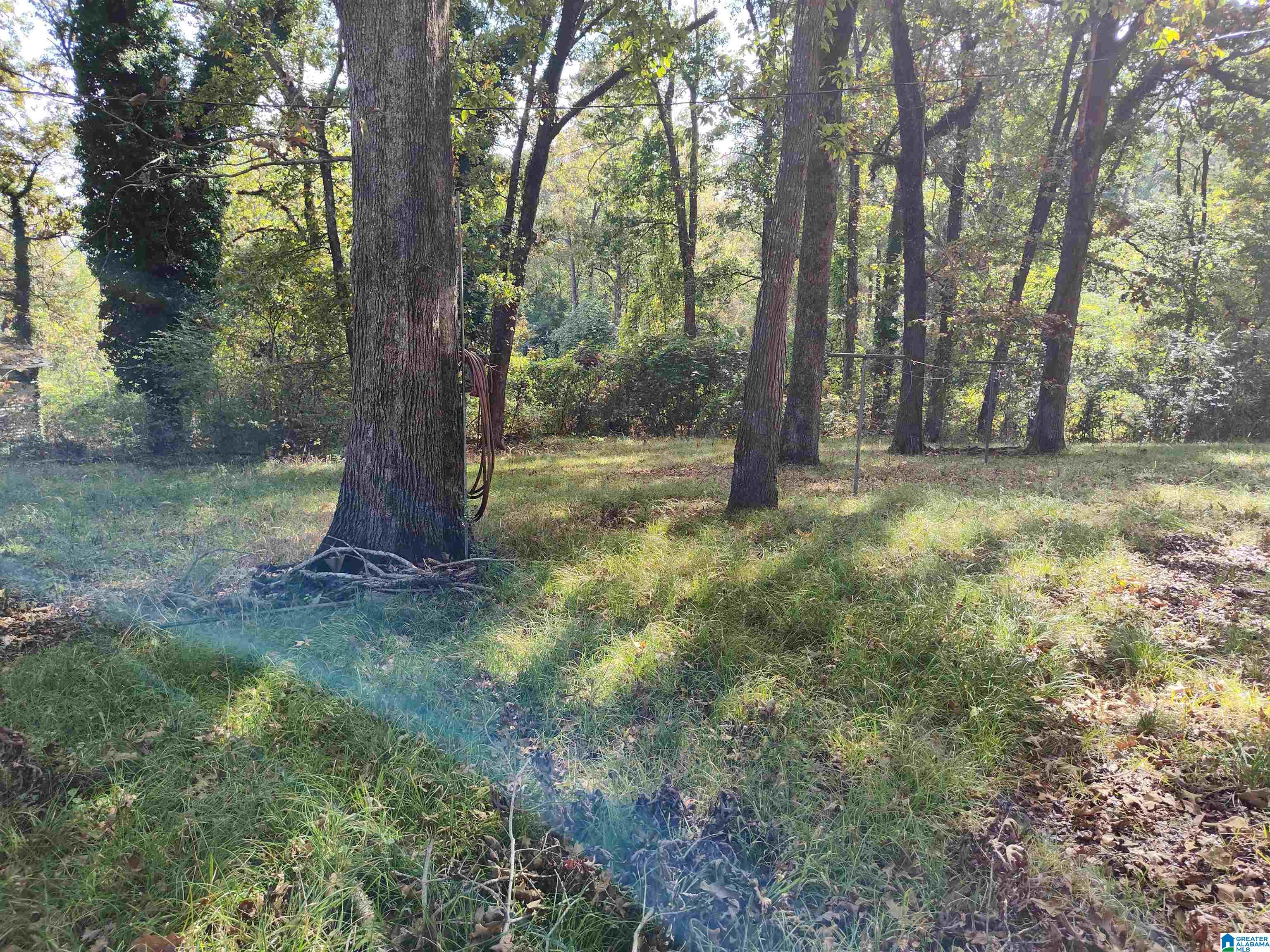 Homes for sale in Sycamore, AL | 109 Lewis Avenue, Sycamore, AL 35149 | MLS# 21434826