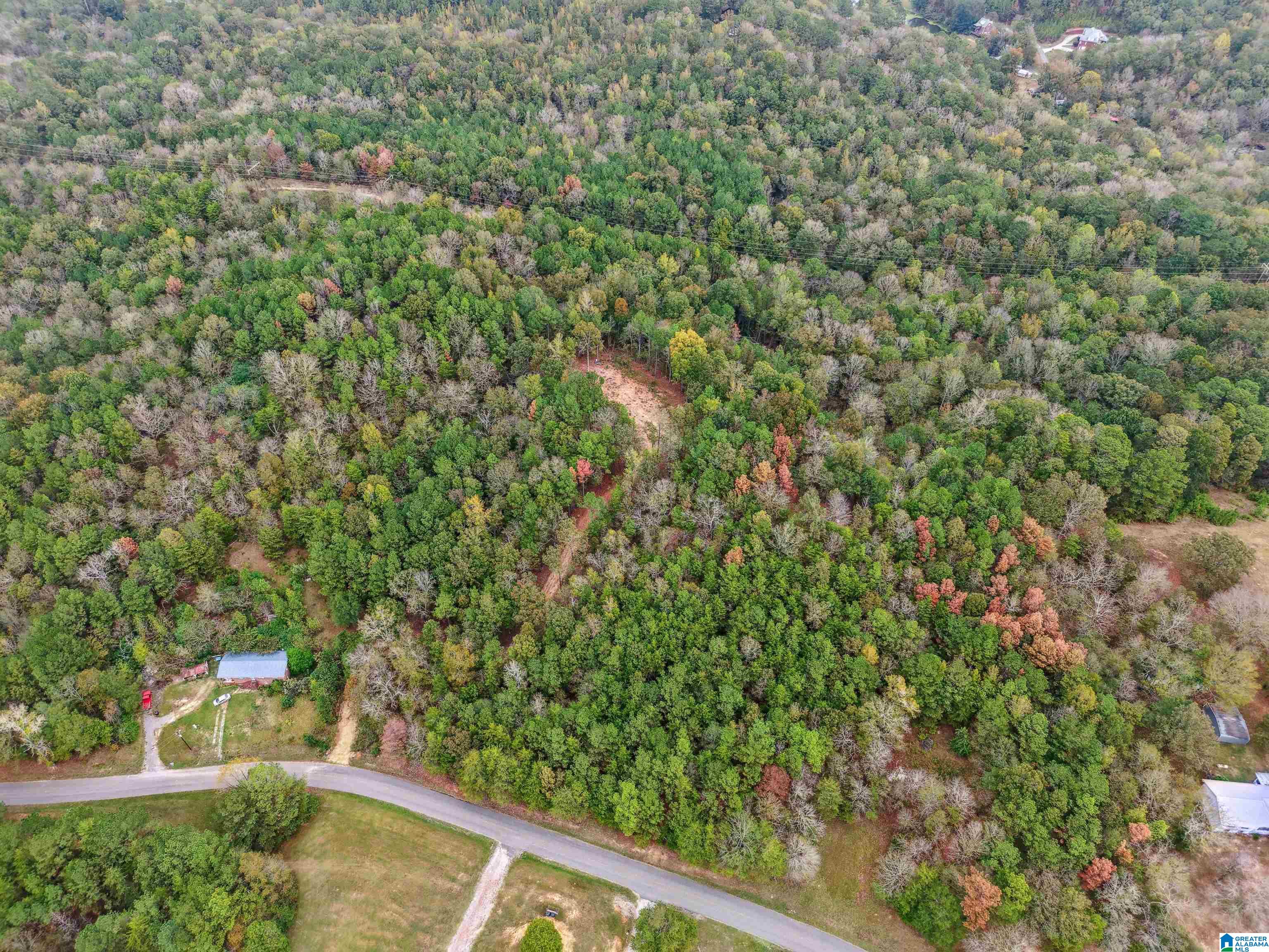 1215 BUDDY VINES CAMP ROAD