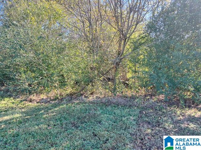 Homes for sale in Pell City, AL | 0 17th Street N, Pell City, AL 35125 | MLS# 21435062