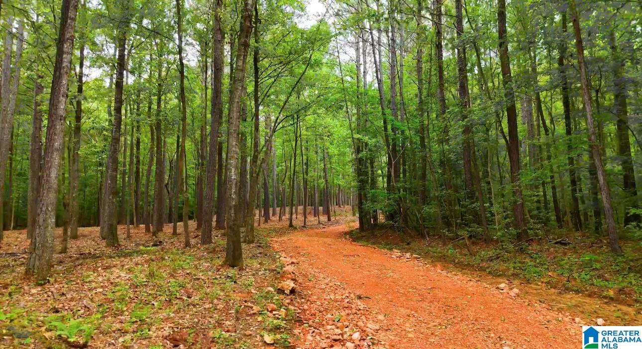 Homes for sale in Vandiver, AL | 399 Magnolia Lane, Vandiver, AL 35176 | MLS# 21435199