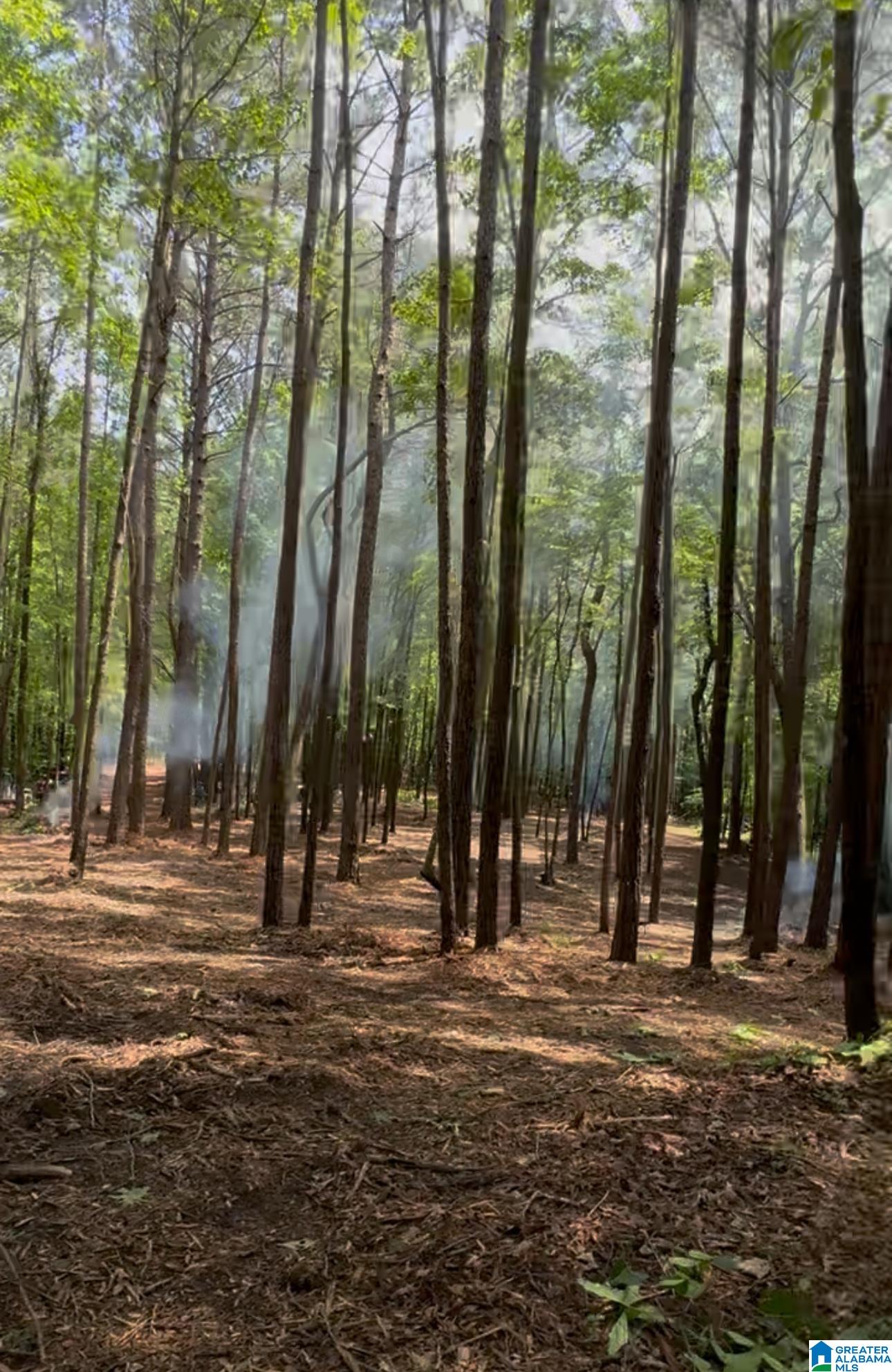 Homes for sale in Vandiver, AL | 399 Magnolia Lane, Vandiver, AL 35176 | MLS# 21435199