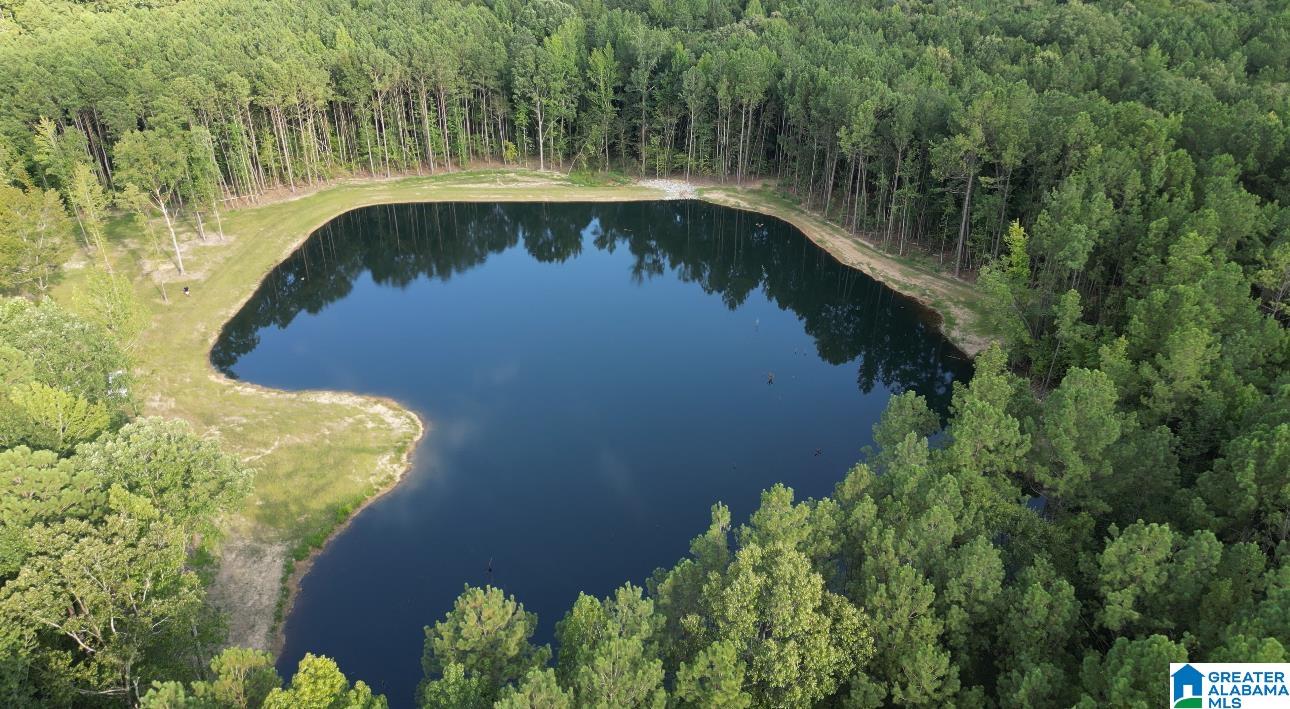 Homes for sale in Vandiver, AL | 387 Magnolia Lane, Vandiver, AL 35176 | MLS# 21435200