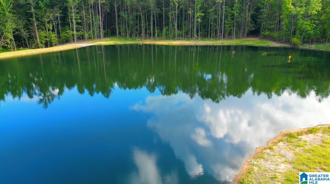 Homes for sale in Vandiver, AL | 387 Magnolia Lane, Vandiver, AL 35176 | MLS# 21435200