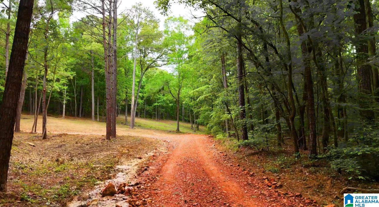 Homes for sale in Vandiver, AL | 387 Magnolia Lane, Vandiver, AL 35176 | MLS# 21435200