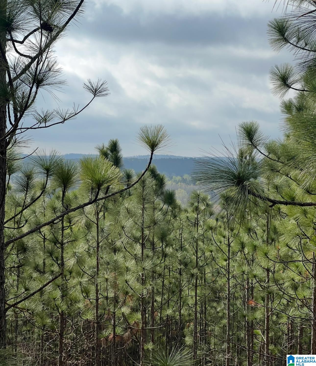 Homes for sale in Vandiver, AL | 377 Magnolia Lane, Vandiver, AL 35176 | MLS# 21435203