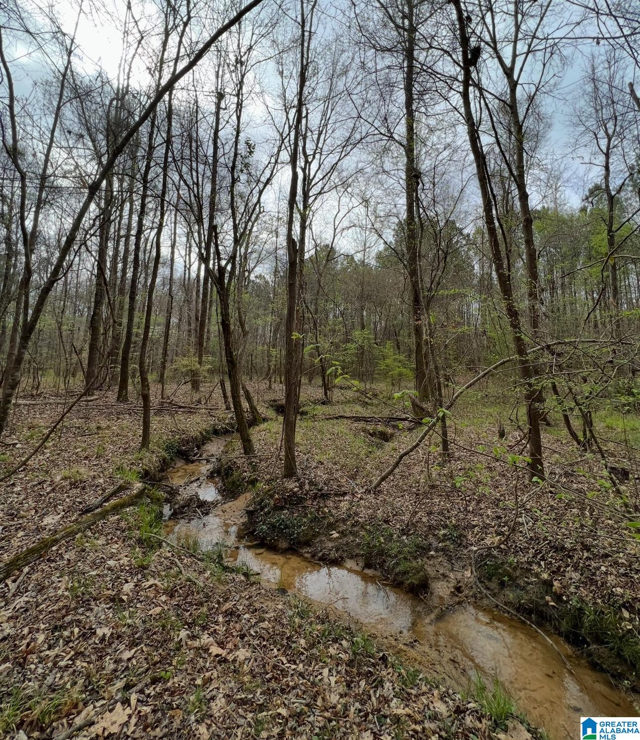 Homes for sale in Vandiver, AL | 377 Magnolia Lane, Vandiver, AL 35176 | MLS# 21435203