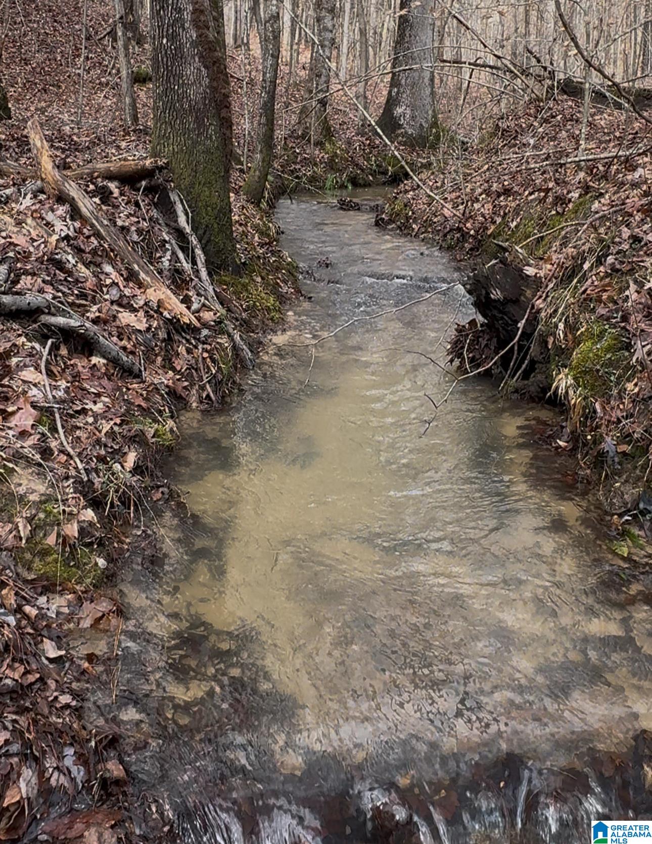 Homes for sale in Vandiver, AL | 377 Magnolia Lane, Vandiver, AL 35176 | MLS# 21435203