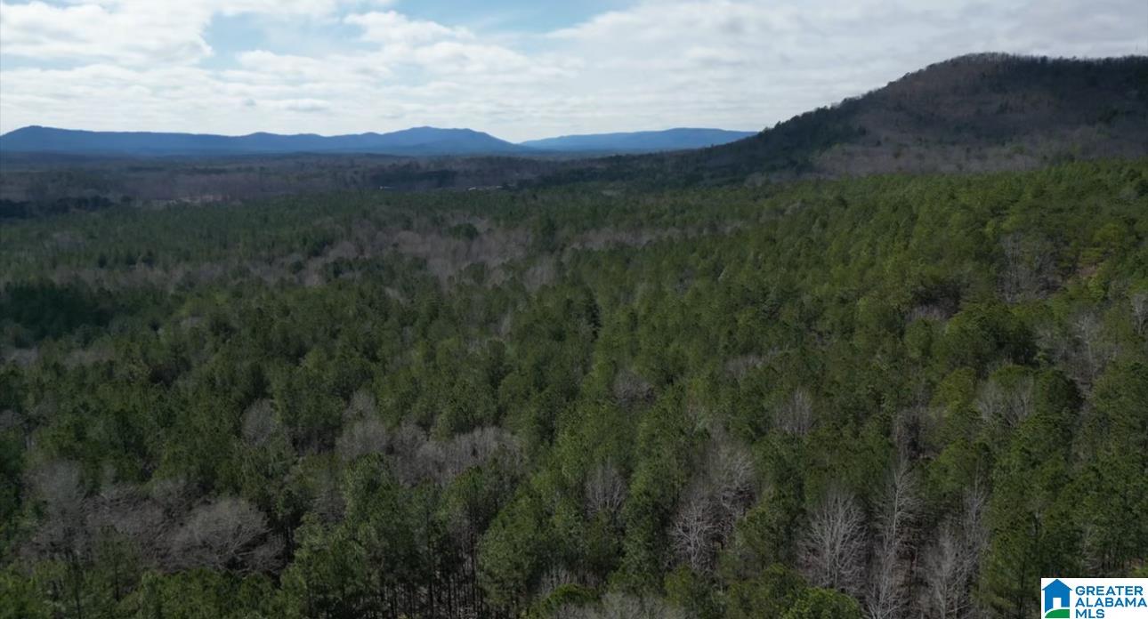 Homes for sale in Vandiver, AL | 377 Magnolia Lane, Vandiver, AL 35176 | MLS# 21435203