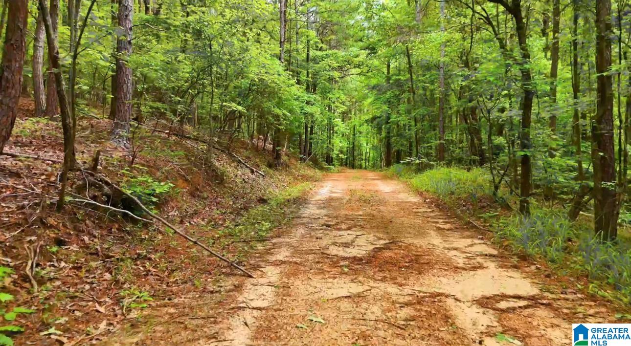 Homes for sale in Vandiver, AL | 367 Magnolia Lane, Vandiver, AL 35176 | MLS# 21435207