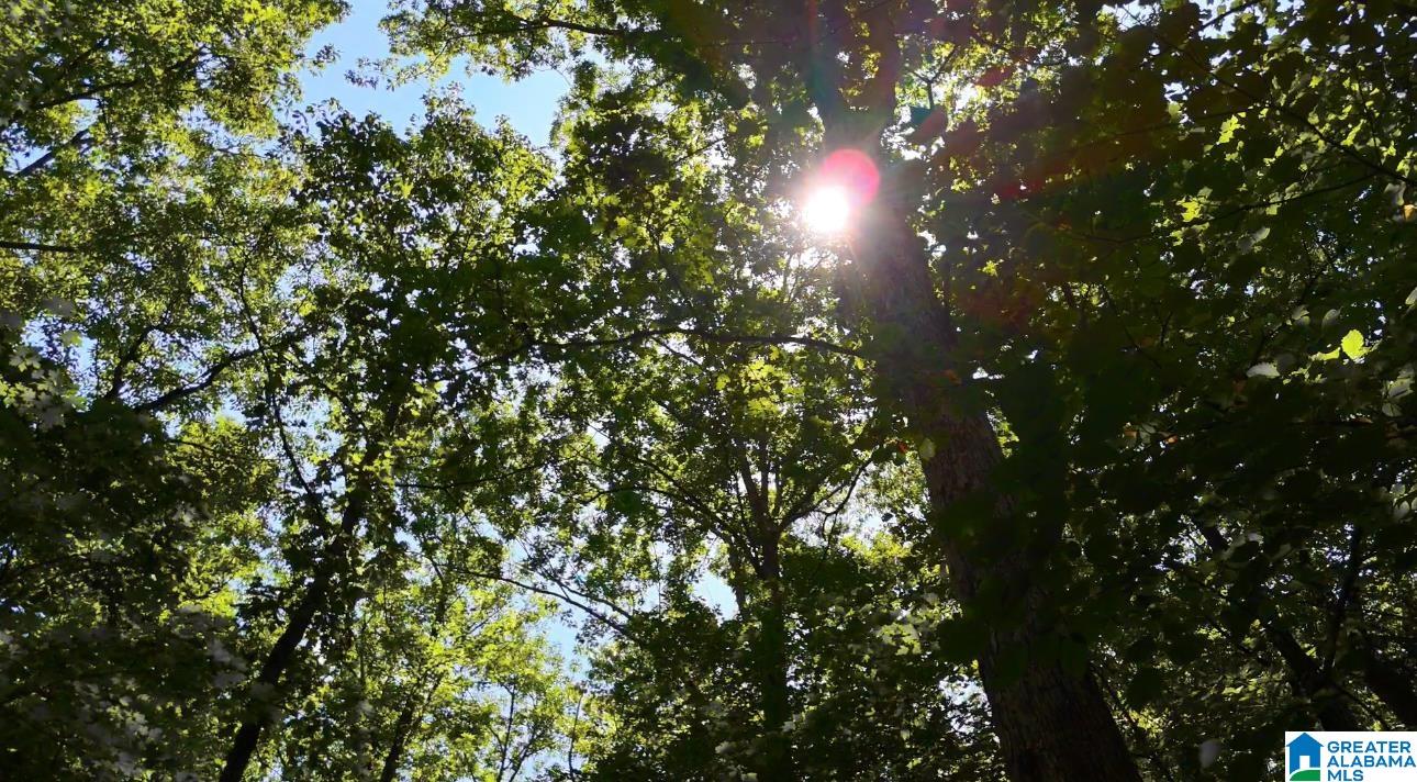 Homes for sale in Vandiver, AL | 367 Magnolia Lane, Vandiver, AL 35176 | MLS# 21435207