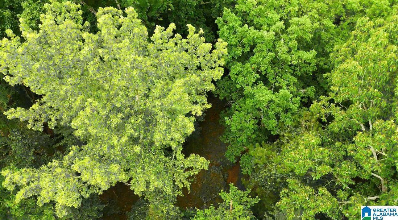 Homes for sale in Vandiver, AL | 367 Magnolia Lane, Vandiver, AL 35176 | MLS# 21435207