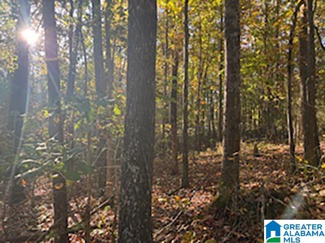 Homes for sale in Woodland, AL | 0 County Road 624, Woodland, AL 36280 | MLS# 21435213