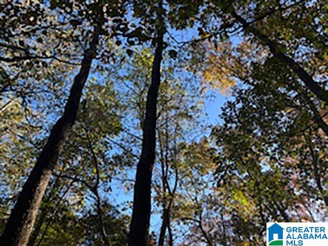 Homes for sale in Woodland, AL | 0 County Road 624, Woodland, AL 36280 | MLS# 21435213