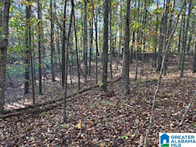 Homes for sale in Woodland, AL | 0 County Road 624, Woodland, AL 36280 | MLS# 21435213