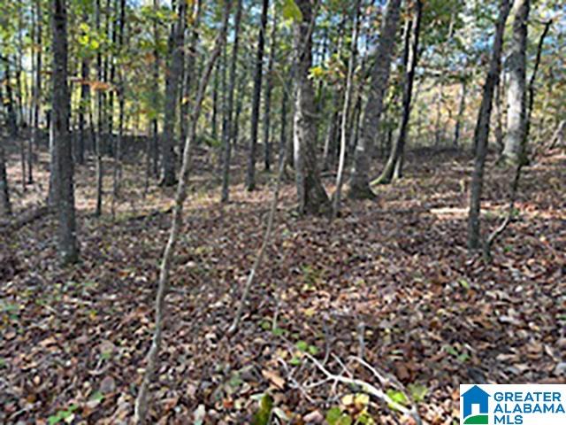 Homes for sale in Woodland, AL | 0 County Road 624, Woodland, AL 36280 | MLS# 21435213